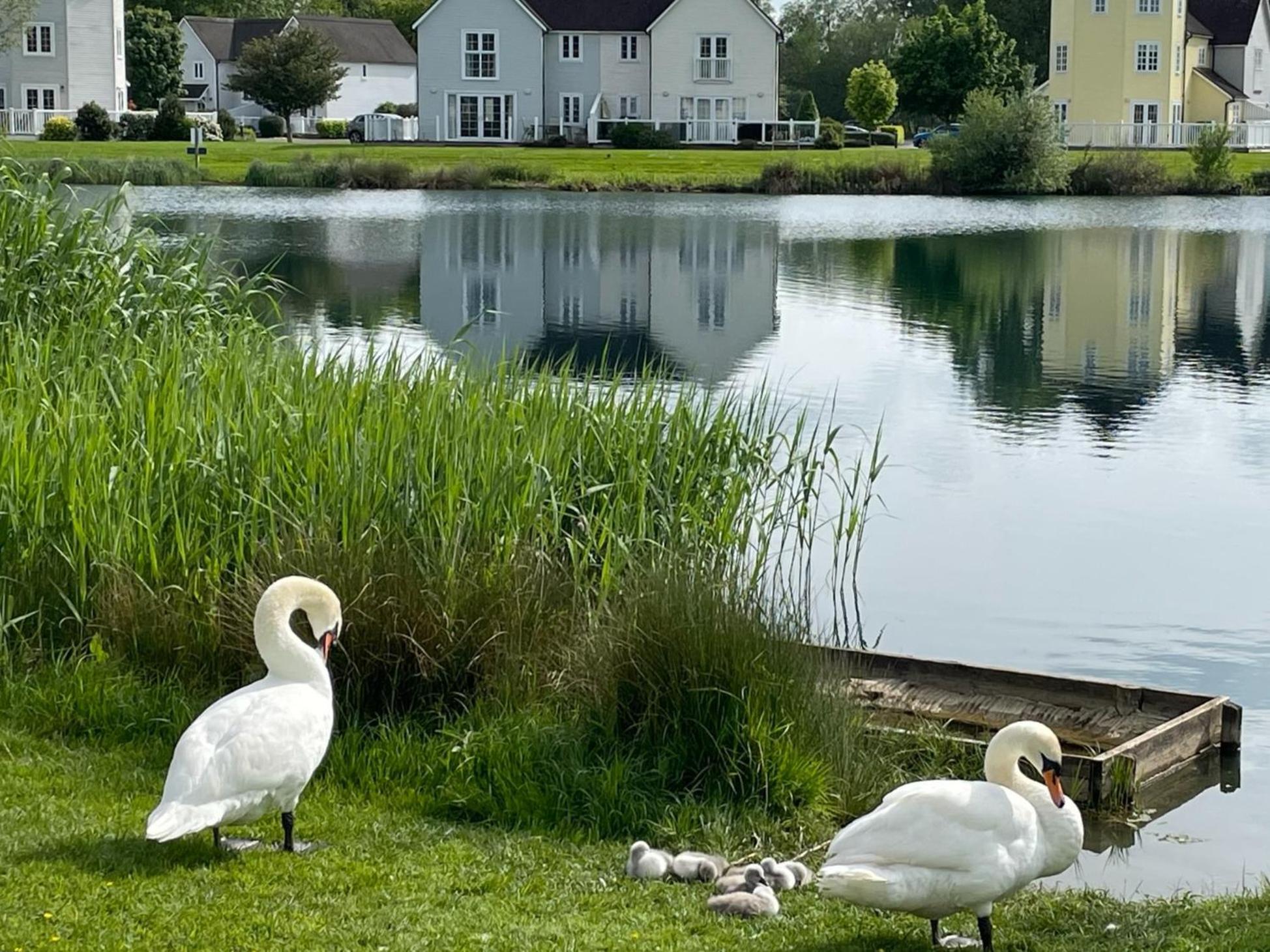Nyhavn Villa Cirencester Kültér fotó